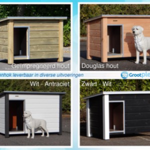 Doghouse Ferro jest dostępny w różnych wersjach