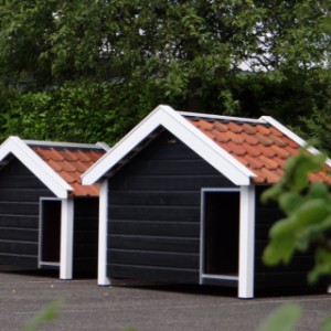 Domki dla psów są zbudowane z dachówek