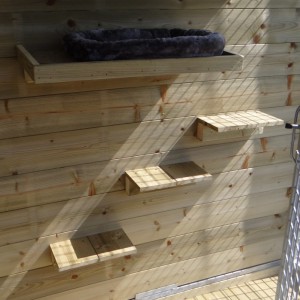 Deski wspinaczkowe i platforma do leżenia na kocim drzewie - impregnowane drewno sosnowe