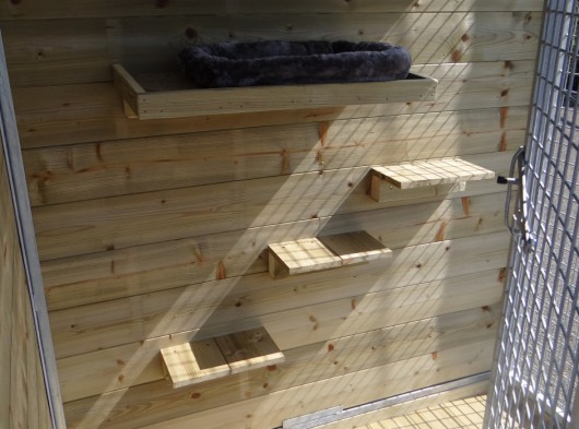 Deski wspinaczkowe i platforma do leżenia na kocim drzewie - impregnowane drewno sosnowe