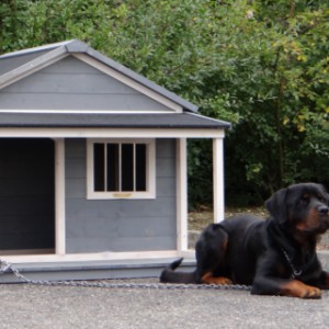 domek dla psa Wooff z werandą daje dodatkowe schronienie