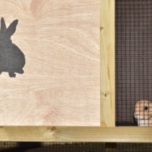 Piękne schronienie dla królików Axi Maxi jest wykonane przez JoyPet.eu