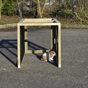 Nadstawka Axi Maxi zapewnia dodatkową przestrzeń dla królików