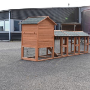 Zajrzyjmy za kulisy kurnika Prestige Medium