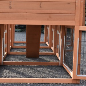 Zajrzyj do kurnika Prestige Medium