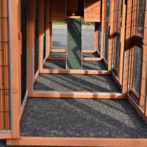 Zajrzyj do kurnika Prestige Medium