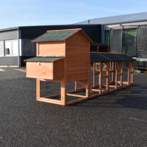 Zajrzyjmy za kulisy kurnika Prestige Medium