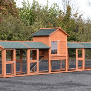 Klatka dla królikow Prestige Medium z 4 wybieg · 493x91x150cm