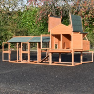 Kurnik Prestige Medium ma wiele drzwi