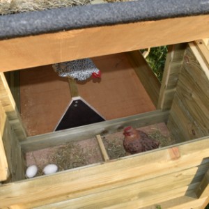 Gniazdo kurnika Rosanne jest wyposażone w dach na zawiasach