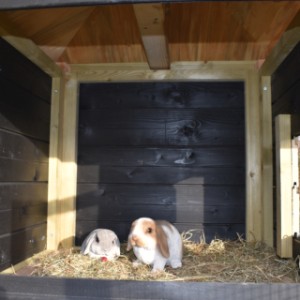 Nocny domek dla królików Rosy jest odpowiedni dla 2 do 4 królików