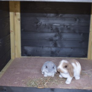 Budka dla królików Rosanne posiada przestronną budkę nocną