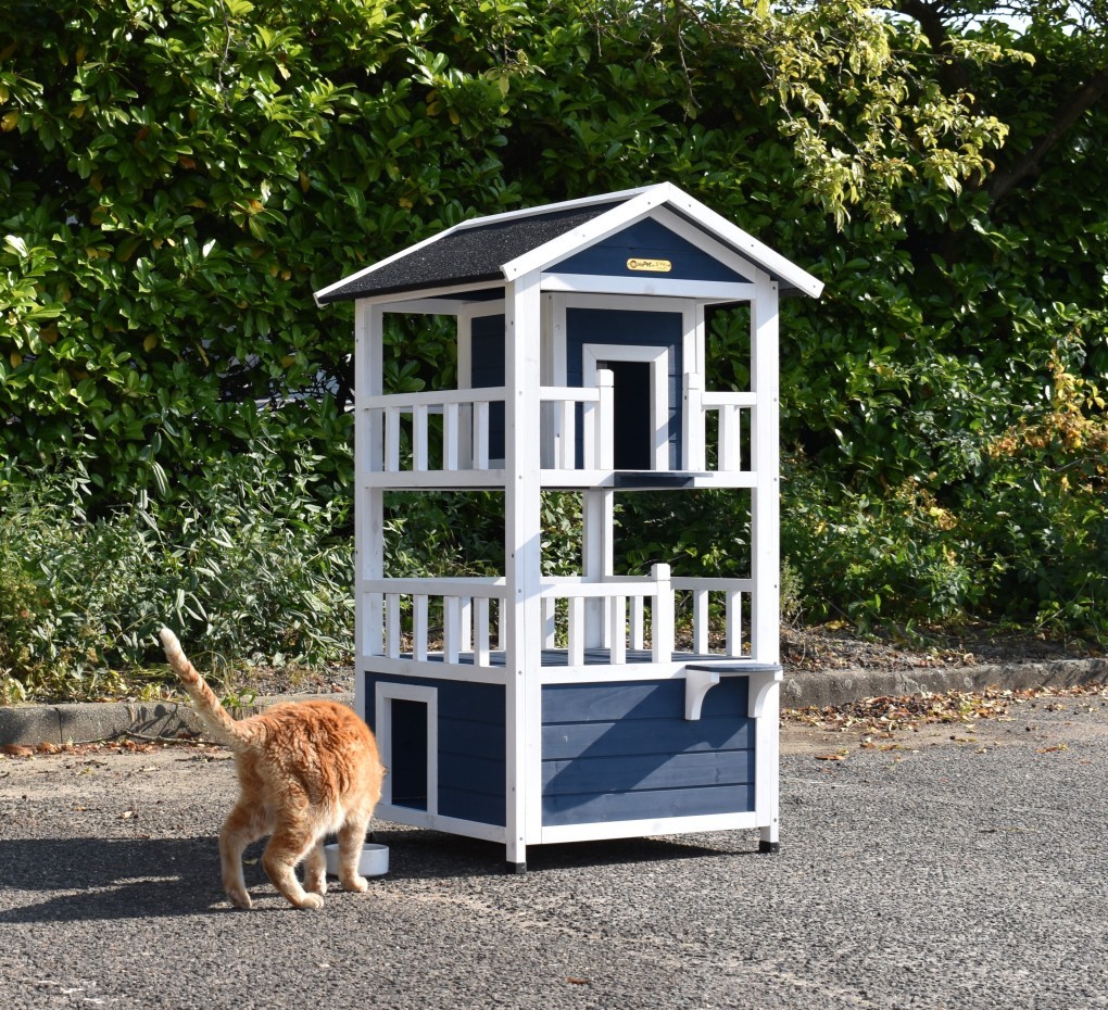Domki dla kotów Kitty
