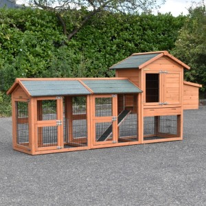 Kurnik Prestige Small z 2 wybieg i gniazdo dla niosek 265x72x122cm