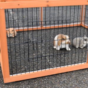 Wybieg dla królików Multirun jest wykonany z drewna sosnowego