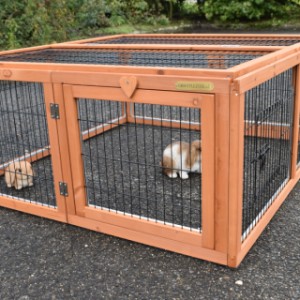 Multirun jest idealny dla Państwa zwierząt