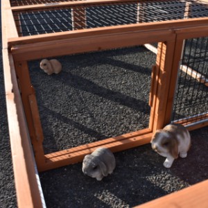 Multirun można połączyć z kolejną Multirun.