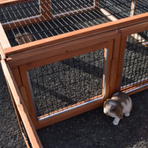 Multirun można połączyć z kolejną Multirun.