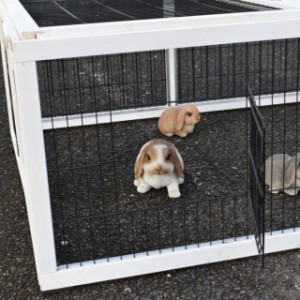 Multirun jest wyposażony w 3 małe drzwiczki z siatki