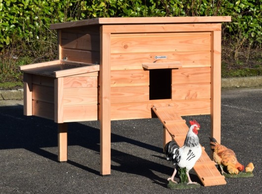 Kurnik Chicky 2 z gniazdo dla niosek | Daglezja | 144x84x125cm
