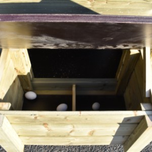 W kurniku Chicky 2 można łatwo zbierać jajka