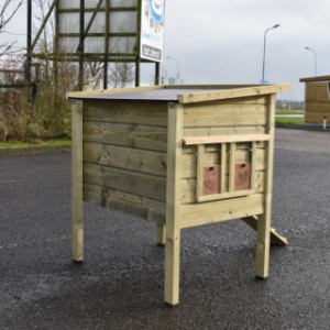 Zajrzyjmy za kulisy kurnika Chicky 2