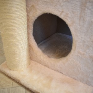 Drapak dla kota Karlijn przedstawia uroczy mały domek