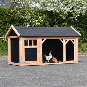 Kurnik Belle 1 ze spiczastym dachem · douglas/czarny · 254x129x140cm