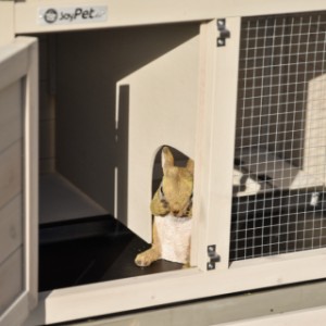 Budka dla królików Annemieke posiada nocne schronienie i wybieg