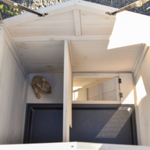 Spojrzenie na górne piętro chatki dla królików Annemieke