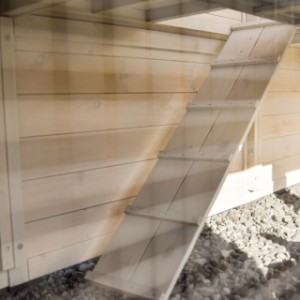 Króliki mogą łatwo wejść na górne piętro po rampie.