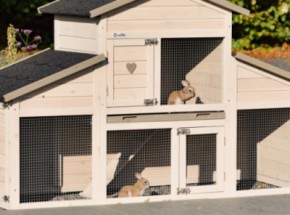 Zestaw izolacyjny z pleksi do klatki dla królików Annemieke