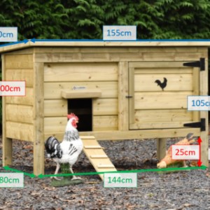 Różne rozmiary kurnika Eggy