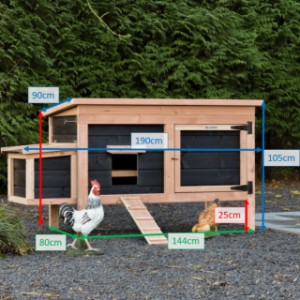Kurnik Eggy z gniazdem w różnych rozmiarach
