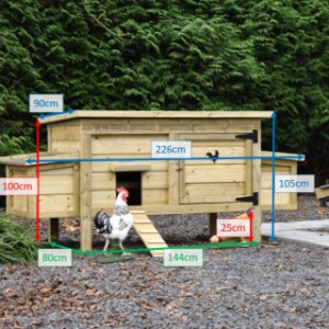 Kurniki Eggy w różnych rozmiarach