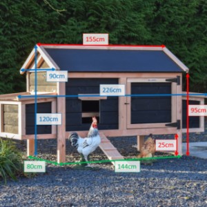 Kurniki Eggy w różnych rozmiarach