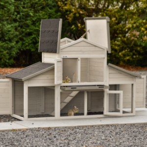 Domek dla świnek morskich Annemieke ma wiele drzwi