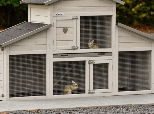 Zestaw izolacyjny z pleksi do klatki dla królików Annemieke