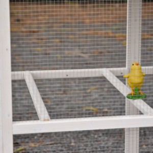 W wybiegu kurnika Alexia znajdują się dwa grzędy.