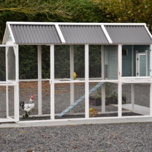 Kurnik Alexia ma wiele praktycznych drzwiczek.