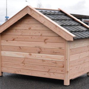 Rzuć okiem na tylną stronę budy Turbo