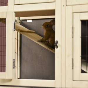 Dzięki rampie króliki mogą przechodzić z jednego poziomu na drugi w klatce Bobby.