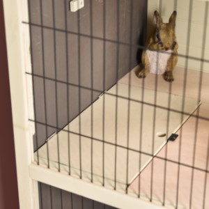 Dwa poziomy klatki Bobby można zamykać oddzielnie od siebie.