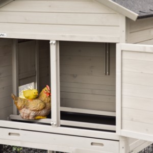 W nocnym schronieniu Prestige Medium kury mogą spokojnie i bezpiecznie siedzieć na grzędzie.