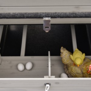 Wnętrze gniazda lęgowego Prestige Medium jest podzielone na dwie części.