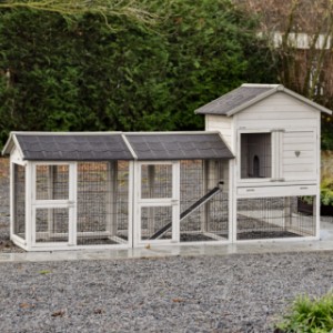 Prestige Medium jasnoszary z 2 wybiegami