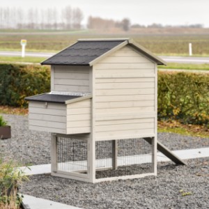 Spójrz na tył Prestige Medium z gniazdem lęgowym.