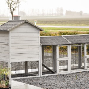 Spójrz na tył Prestige Medium z podwójnym wybiegiem.