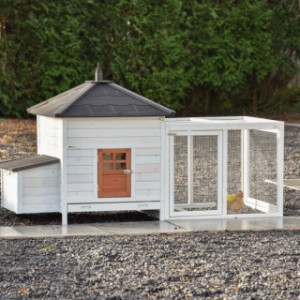 Kurnik Ambiance Large z wybiegiem