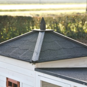 Dach Ambiance Large jest zdejmowany